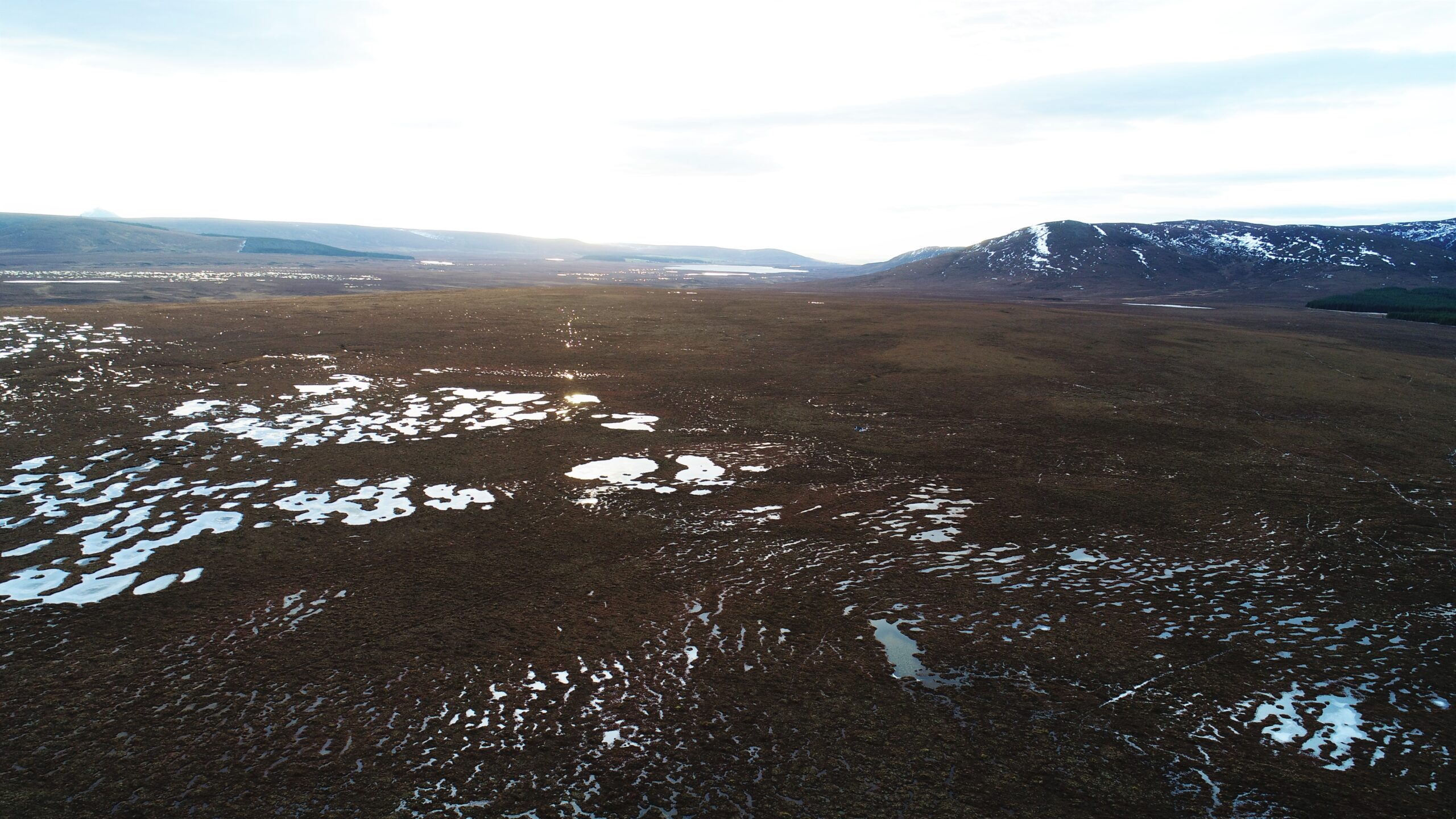 Flow country pools from above