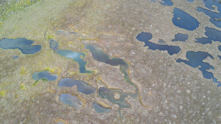 Flow country pools from above